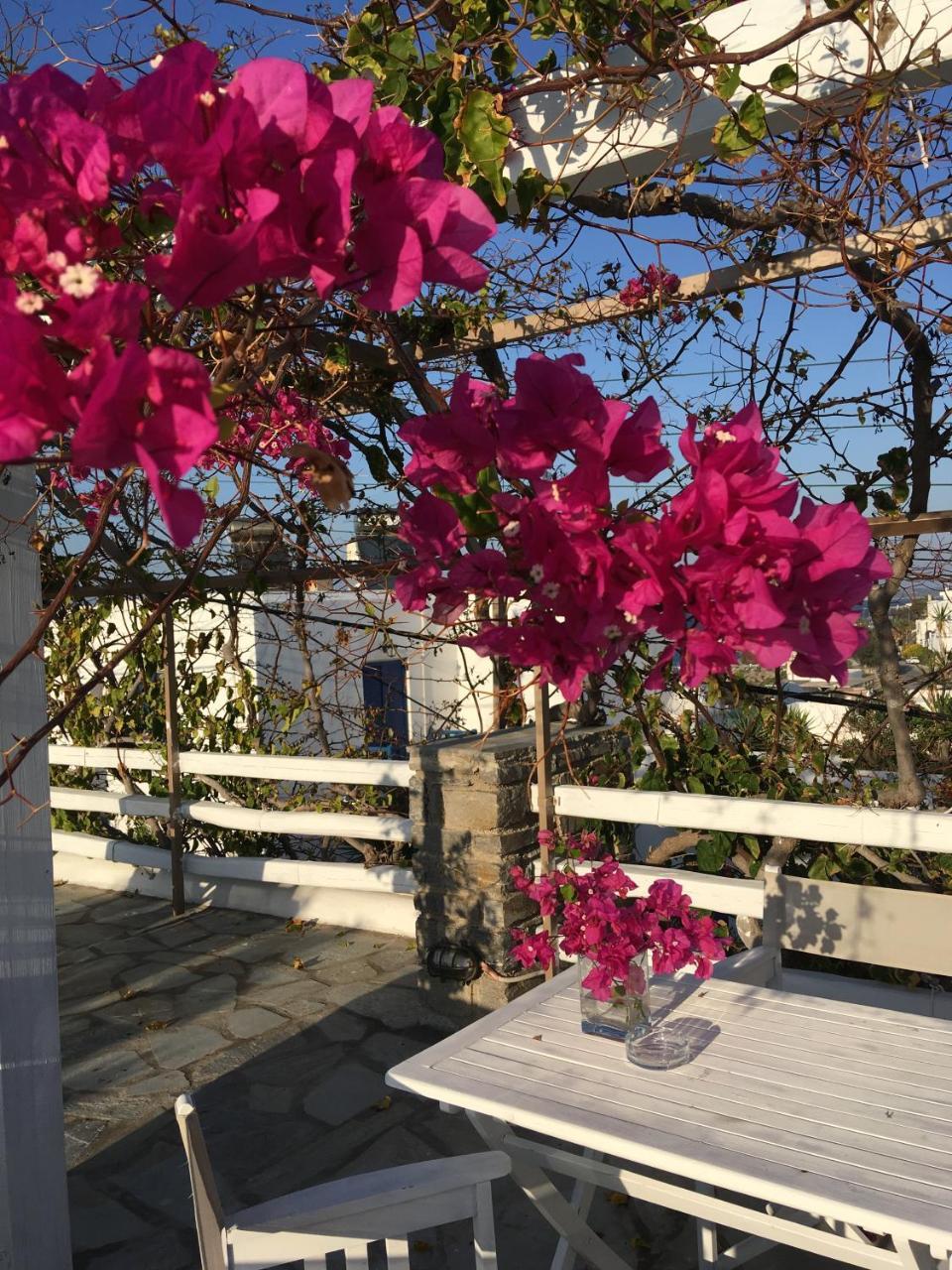 נאוסה Stefano Apartments מראה חיצוני תמונה