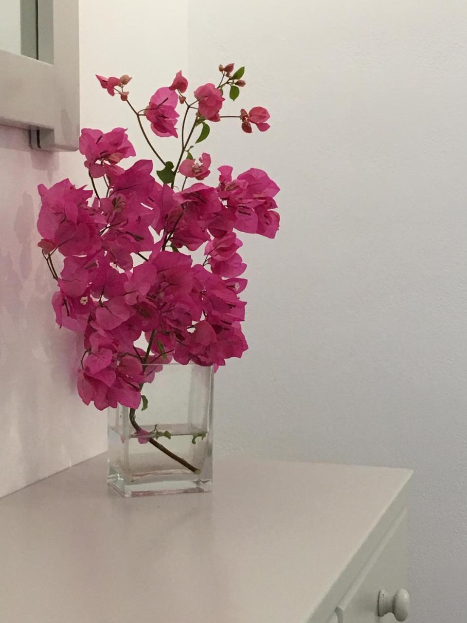 נאוסה Stefano Apartments מראה חיצוני תמונה