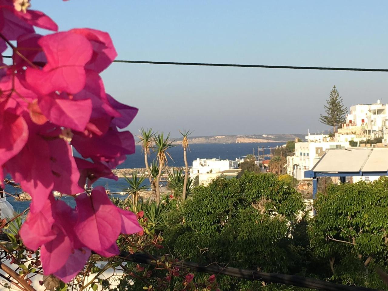 נאוסה Stefano Apartments מראה חיצוני תמונה