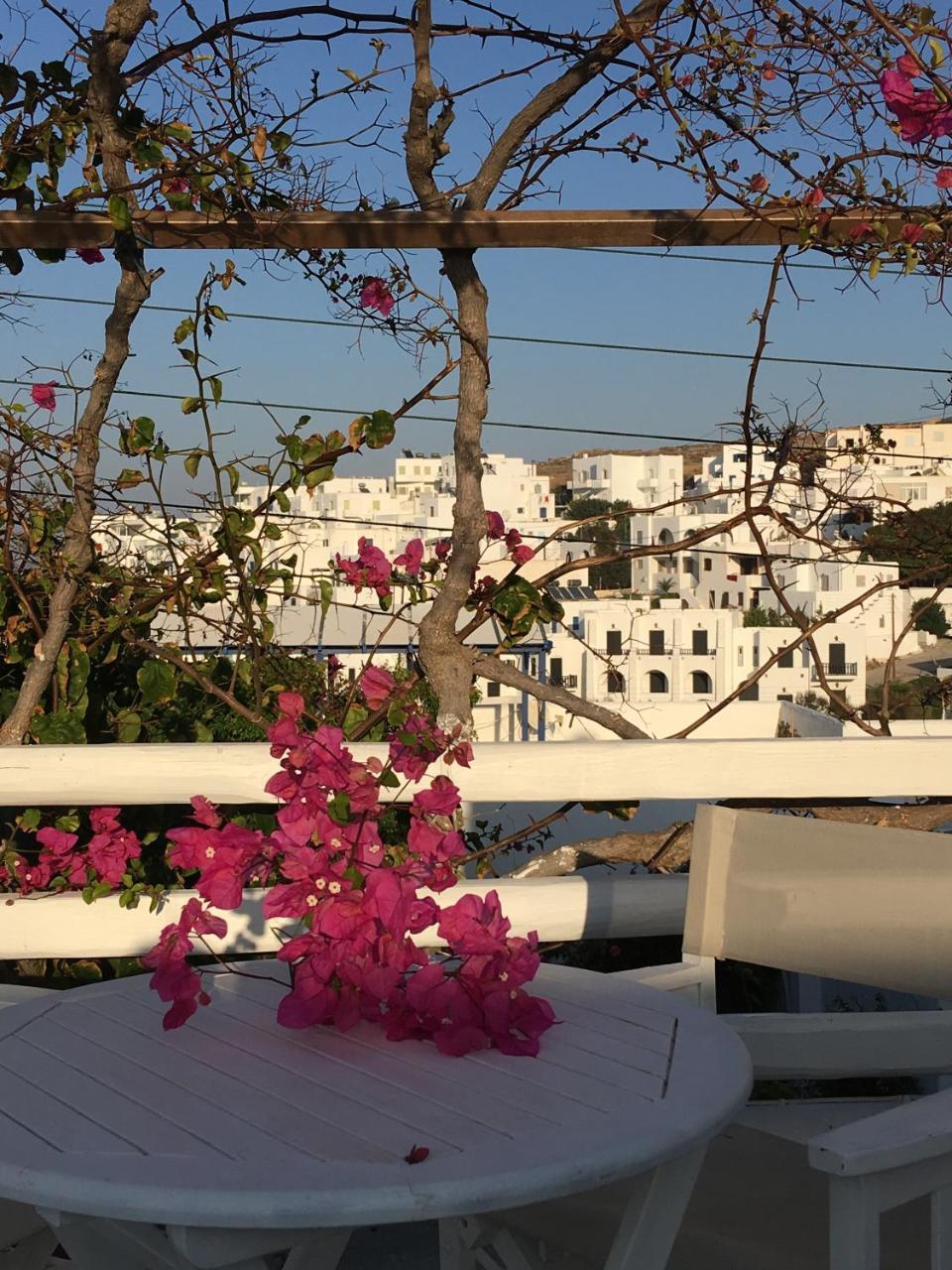 נאוסה Stefano Apartments מראה חיצוני תמונה